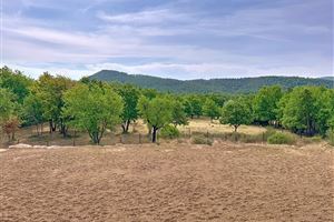 EJENDOM BELIGGENDE FREDELIGT I NATUREN